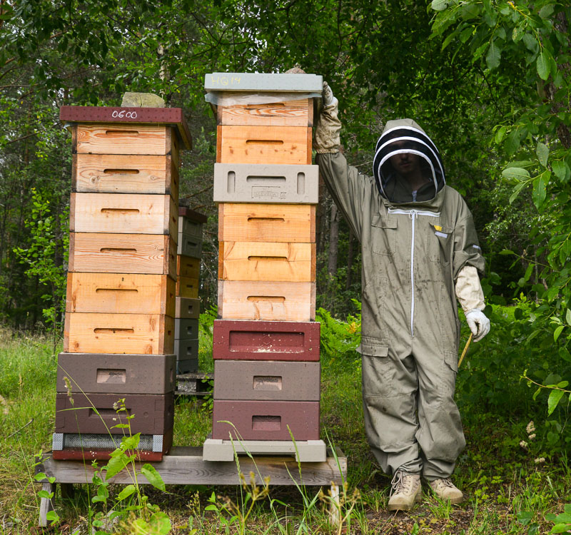 beekeeper