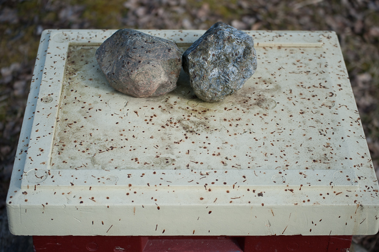 beehive roof full of bee poop