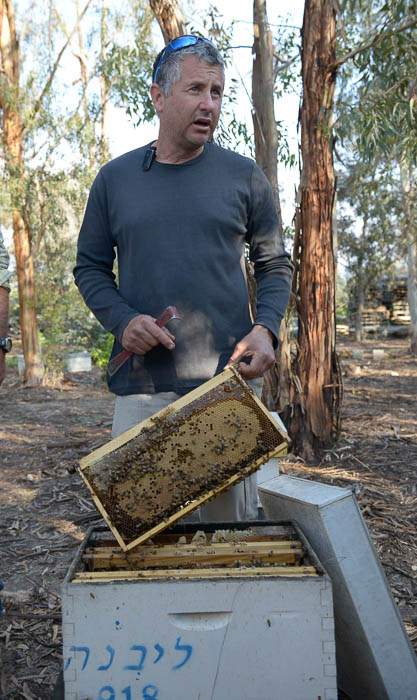 isrel beekeeper